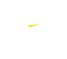 BOSCH dog salon